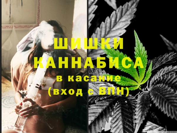мдпв Бородино