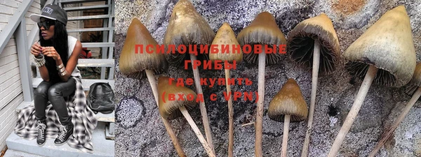 прущая мука Володарск