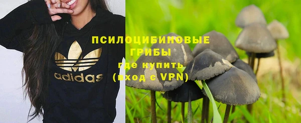 бошки Бронницы