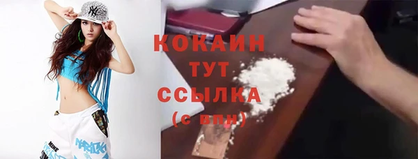 амф Вяземский