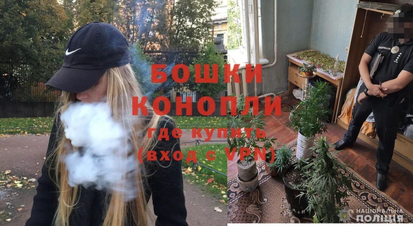амф Вяземский