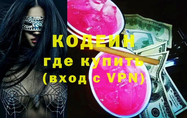 мдпв Бородино