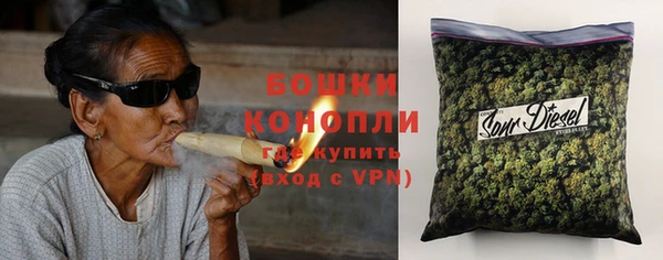 бошки Бронницы