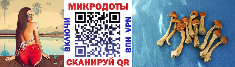 Галлюциногенные грибы ЛСД гидра ссылки Дивногорск